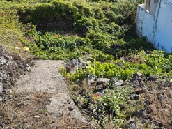 Terreno Urbano T0 - Feteira, Angra do Heroismo, Ilha Terceira - Miniatura: 7/14