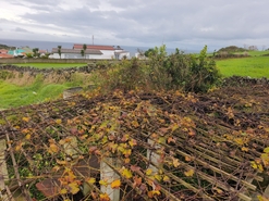 Moradia T2 - Porto Judeu, Angra do Heroismo, Ilha Terceira - Miniatura: 19/22