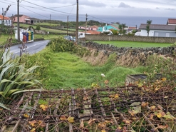 Moradia T2 - Porto Judeu, Angra do Heroismo, Ilha Terceira - Miniatura: 21/22