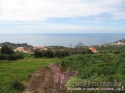 Terreno Rstico - Santo Antnio, Funchal, Ilha da Madeira - Miniatura: 5/9