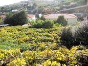 Terreno Urbano - Santo Antnio, Funchal, Ilha da Madeira - Miniatura: 3/5