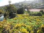 Terreno Urbano - Santo Antnio, Funchal, Ilha da Madeira - Miniatura: 5/5