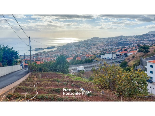 Terreno Rstico - Funchal, Funchal, Ilha da Madeira - Imagem grande