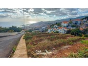 Terreno Rstico - Funchal, Funchal, Ilha da Madeira - Miniatura: 1/9