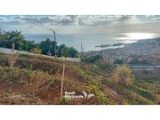 Terreno Rstico - Funchal, Funchal, Ilha da Madeira - Miniatura: 2/9