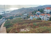 Terreno Rstico - Funchal, Funchal, Ilha da Madeira - Miniatura: 3/9