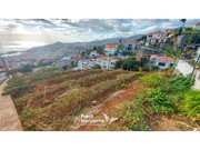 Terreno Rstico - Funchal, Funchal, Ilha da Madeira - Miniatura: 5/9