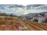 Terreno Rstico - Funchal, Funchal, Ilha da Madeira - Miniatura: 9/9