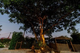 Moradia T5 - Estombar, Lagoa (Algarve), Faro (Algarve) - Miniatura: 58/59