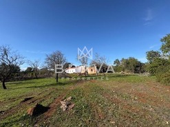 Terreno R�stico T0 - N�o Definido, N�o Definido, N�o Definido - Miniatura: 6/26