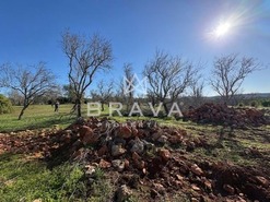 Terreno R�stico T0 - N�o Definido, N�o Definido, N�o Definido - Miniatura: 13/26