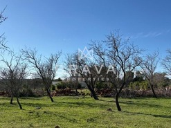 Terreno R�stico T0 - N�o Definido, N�o Definido, N�o Definido - Miniatura: 21/26