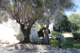 Moradia T4 - Algoz, Silves, Faro (Algarve) - Miniatura: 61/66
