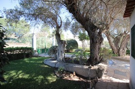 Moradia T4 - Algoz, Silves, Faro (Algarve) - Miniatura: 64/66