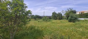 Terreno Rstico T0 - Boliqueime, Loul, Faro (Algarve) - Miniatura: 1/10