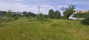 Terreno Rstico T0 - Boliqueime, Loul, Faro (Algarve) - Miniatura: 3/10
