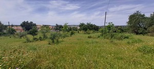 Terreno Rstico T0 - Boliqueime, Loul, Faro (Algarve) - Miniatura: 5/10