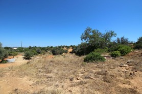 Terreno R�stico T0 - Alcantarilha, Silves, Faro (Algarve) - Miniatura: 17/17