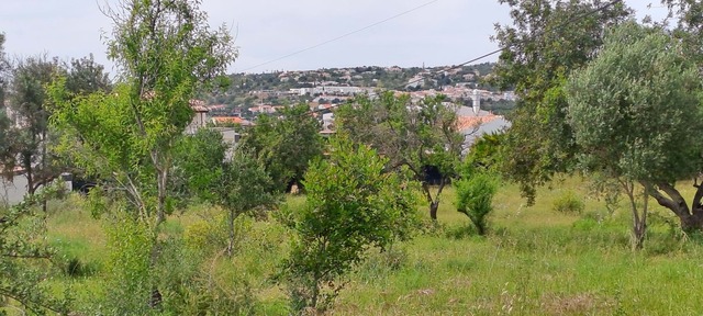 Terreno R�stico T0 - Boliqueime, Loul�, Faro (Algarve) - Imagem grande