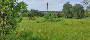 Terreno R�stico T0 - Boliqueime, Loul�, Faro (Algarve) - Miniatura: 2/10