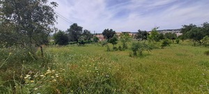 Terreno R�stico T0 - Boliqueime, Loul�, Faro (Algarve) - Miniatura: 4/10