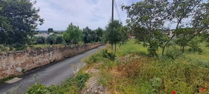 Terreno R�stico T0 - Boliqueime, Loul�, Faro (Algarve) - Miniatura: 7/10