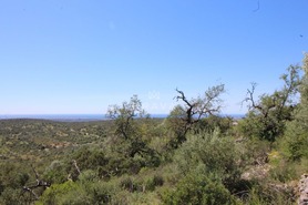 Ruina T0 - Boliqueime, Loul�, Faro (Algarve) - Miniatura: 3/8