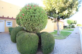 Moradia T3 - Quarteira, Loul�, Faro (Algarve) - Miniatura: 52/52