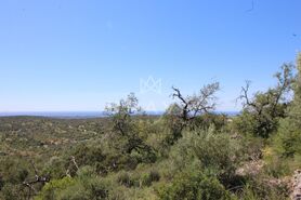 Ruina T0 - Boliqueime, Loul�, Faro (Algarve) - Miniatura: 3/8
