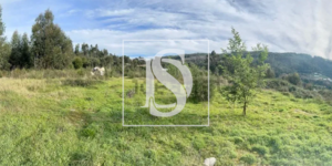 Terreno Rstico T0 - Santo Tirso, Santo Tirso, Porto - Miniatura: 2/2