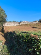 Terreno R�stico - CHORENTE, Barcelos, Braga - Miniatura: 4/37