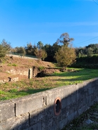 Terreno R�stico - CHORENTE, Barcelos, Braga - Miniatura: 14/37