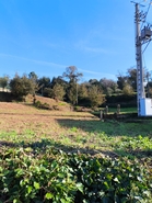 Terreno R�stico - CHORENTE, Barcelos, Braga - Miniatura: 23/37
