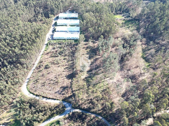 Terreno Rústico T0 - Pico de Regalados, Vila Verde, Braga - Imagem grande