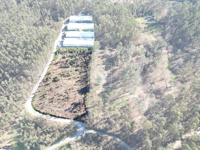 Terreno Rústico T0 - Pico de Regalados, Vila Verde, Braga - Imagem grande