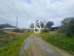 Armazm T0 - Ruives, Vila Nova de Famalico, Braga