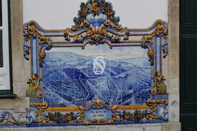 Prdio - Pinho, Alij, Vila Real - Miniatura: 14/14