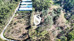 Terreno Rústico T0 - Pico de Regalados, Vila Verde, Braga - Miniatura: 7/21