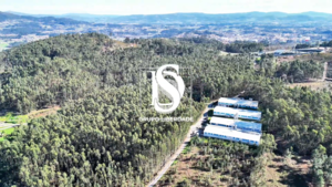 Terreno Rústico T0 - Pico de Regalados, Vila Verde, Braga - Miniatura: 18/21