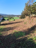 Terreno R�stico - CHORENTE, Barcelos, Braga - Miniatura: 36/44