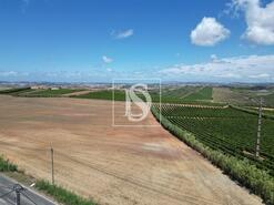 Moradia T4 - Encarna��o, Mafra, Lisboa - Miniatura: 19/28