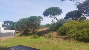Terreno Urbano - Darque, Viana do Castelo, Viana do Castelo - Miniatura: 6/9