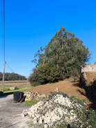 Terreno R�stico - CHORENTE, Barcelos, Braga - Miniatura: 29/44