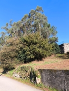 Terreno R�stico - CHORENTE, Barcelos, Braga - Miniatura: 37/44