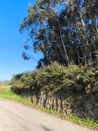 Terreno R�stico - CHORENTE, Barcelos, Braga - Miniatura: 38/44