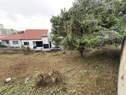 Terreno R�stico - S�o Vicente, Braga, Braga - Miniatura: 23/27