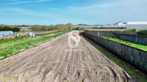 Moradia T4 - Agu�adoura, P�voa de Varzim, Porto - Miniatura: 11/25