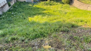 Terreno R�stico - Santo Tirso, Santo Tirso, Porto - Miniatura: 6/6