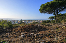 Terreno Urbano - Areosa, Viana do Castelo, Viana do Castelo - Miniatura: 2/15