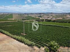 Moradia T4 - Encarna��o, Mafra, Lisboa - Miniatura: 11/28